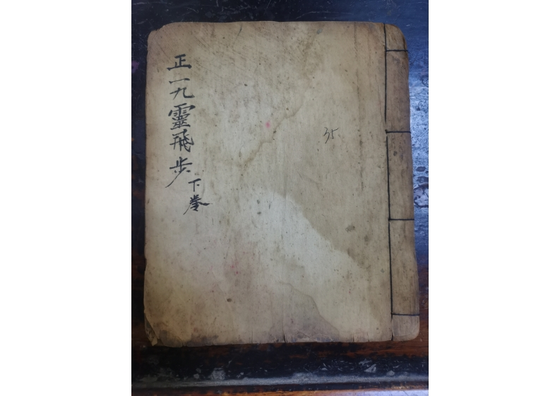 九灵飞步下卷 – 电子书下载