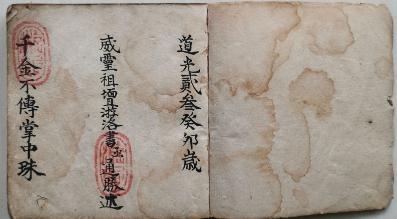 千金不传掌中珠 – 电子书下载