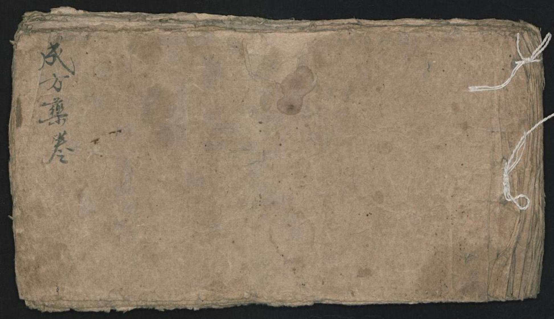 成方药卷 – 电子书下载