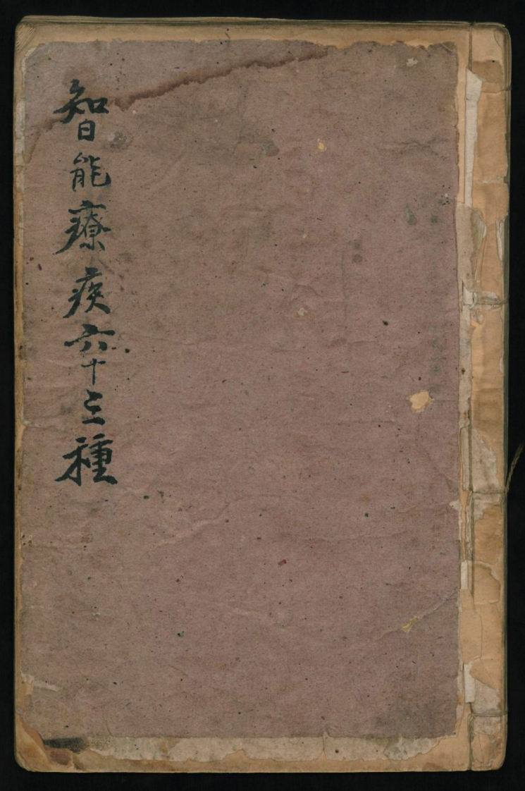 智能疗疾六十三种 – 电子书下载