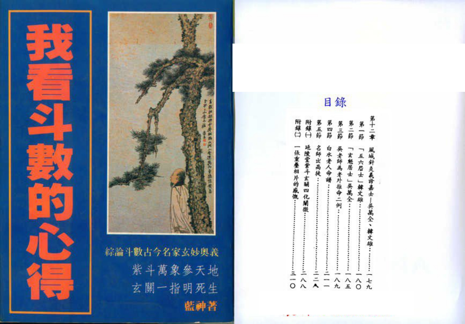 蓝神-我看斗数的心得 – 电子书下载