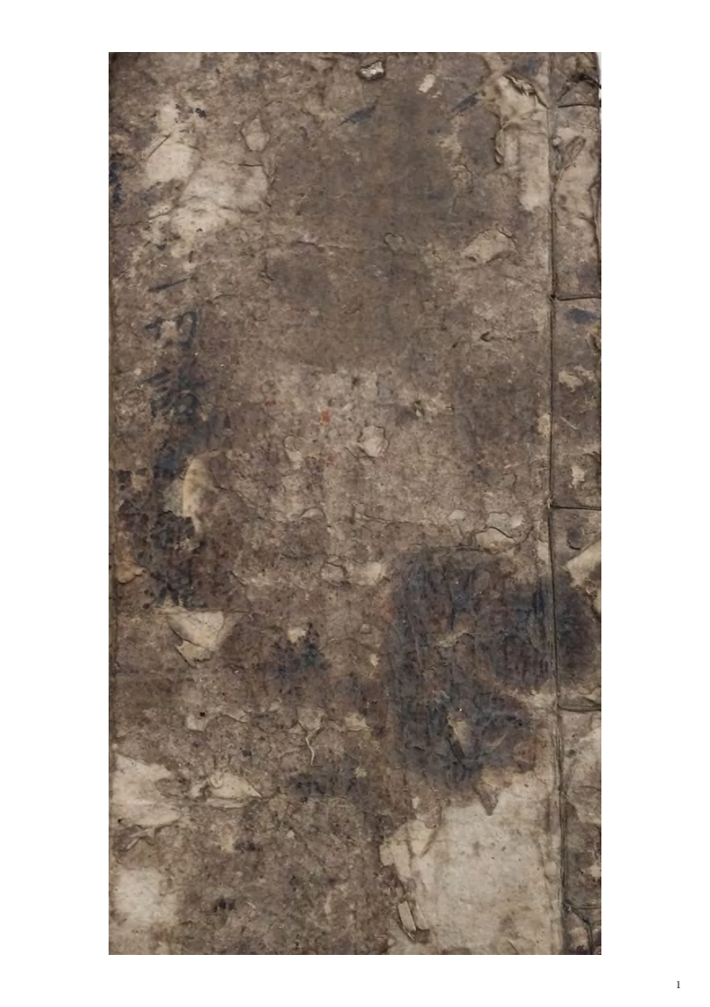 道医专门治症秘方 – 电子书下载